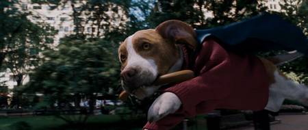 underdog